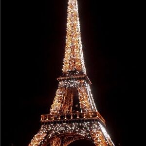 Meet your Posher, Paris Parfait!